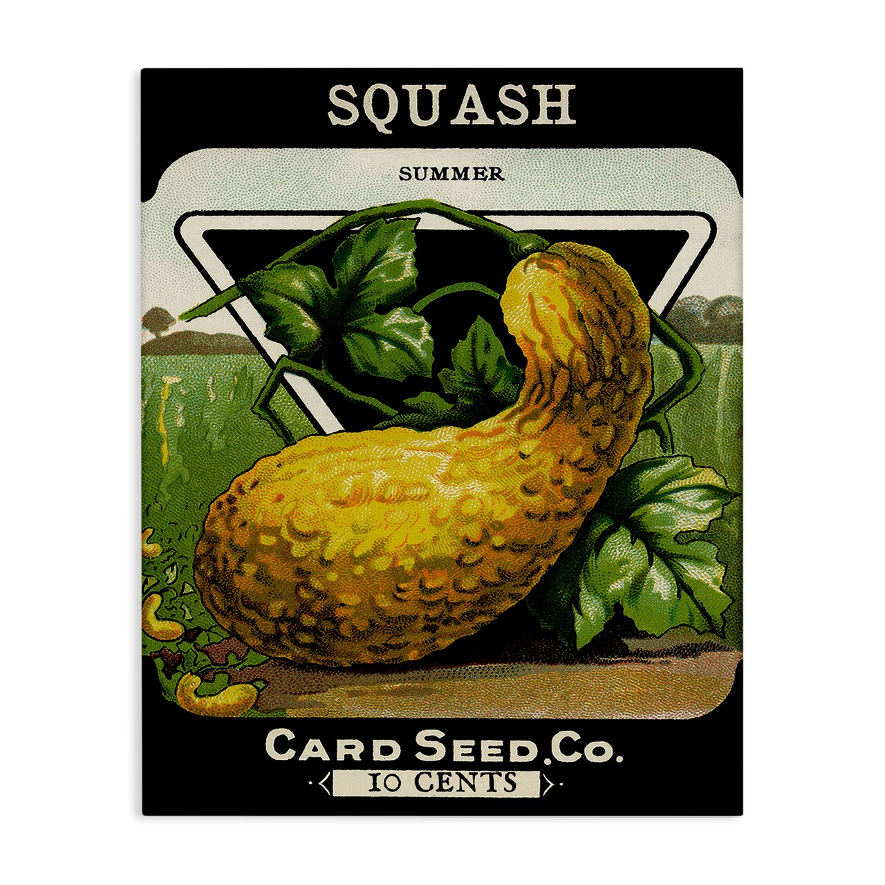Stupell Industries Vintage Garden Squash Canvas Design by Lil' Rue